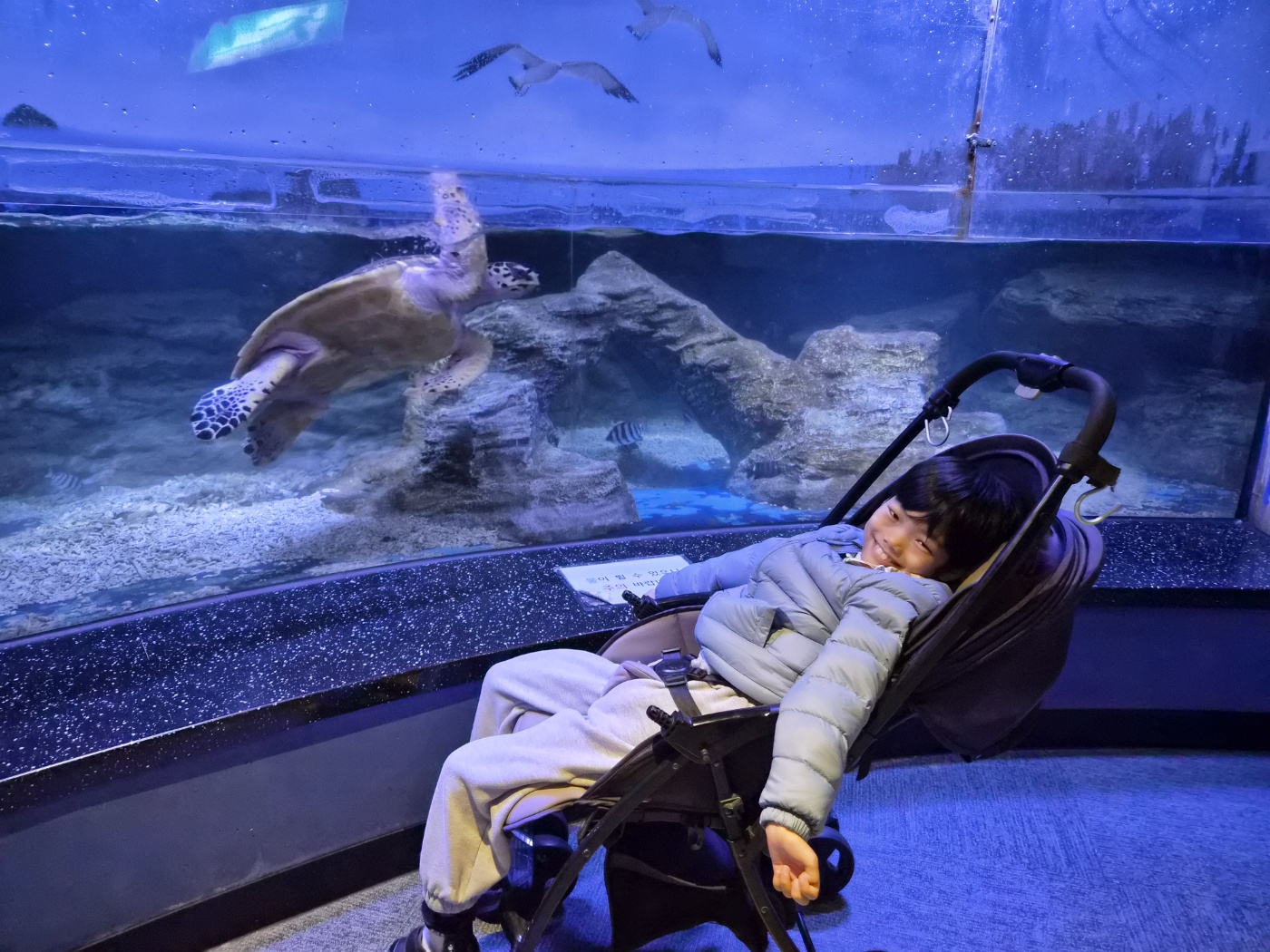 그냥 웃음이 나오는 기분좋은 여행 여수 힐링여행